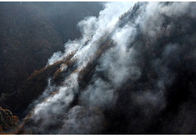 IMG_۲۰۲۵۱۱۲۲_۱۵۲۲۲۷