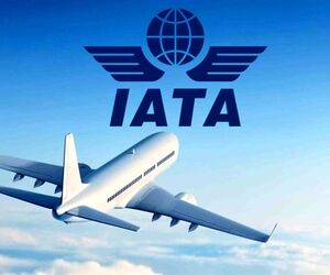 یاتا پیش بینی های خود را تغییر داد 
