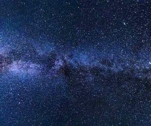 تلاش برای پرورش بافت بدن انسان در فضا