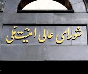 واکنش شورای عالی امنیت ملی به ادعای دبیر شورای امنیت ملی اوکراین