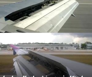 چرا هنگام فرود، بخشی از بال هواپیما بالا می‌آید؟