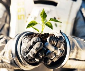 بهبود تغذیه فضانوردان با پرورش گیاهان در فضا