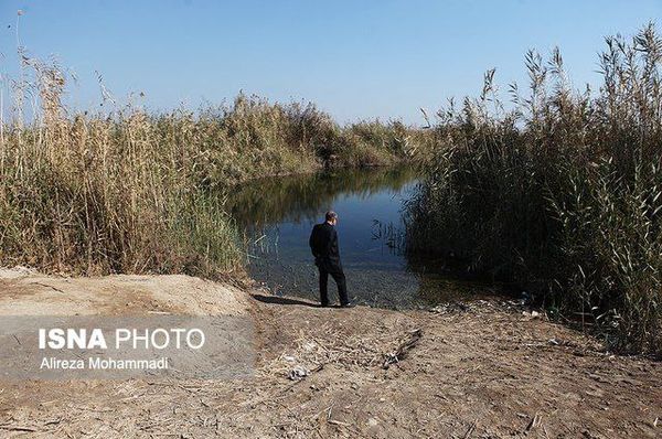 درخواست استاندار خوزستان برای صدور فوری مجوز پرواز هواپیماهای آب‌پاش توسط عراق