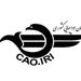 پروازهای هند و پاکستان به ایران ممنوع شد 