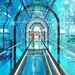 بزرگترین استخر شنای جهان برای استقرار مرکز آموزش فضانوردان جدید