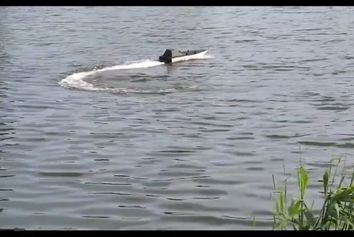 کوچک‌ترین ناو هواپیمابر جهان با ابعادی باورنکردنی