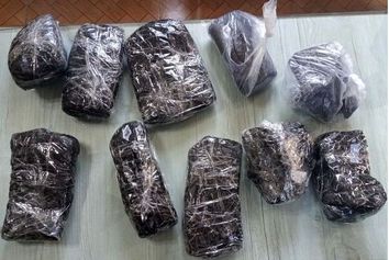 کشف ۱۲ کیلو تریاک در حال خروج از کشور