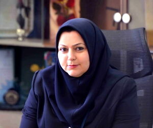 ورود ۳ فروند هواپیمای برزیلی به ناوگان یک ایرلاین داخلی