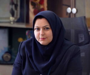 ورود ۳ فروند هواپیمای برزیلی به ناوگان یک ایرلاین داخلی