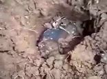 فرود شهاب سنگ بر سقف،‌ صاحب خانه را میلیونر کرد