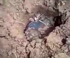 فرود شهاب سنگ بر سقف،‌ صاحب خانه را میلیونر کرد