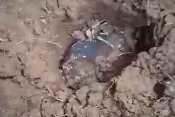 فرود شهاب سنگ بر سقف،‌ صاحب خانه را میلیونر کرد