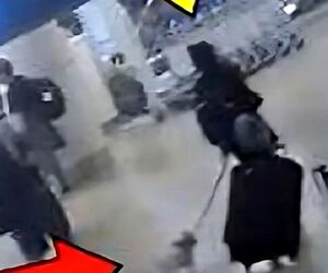 دستگیری زنی که سگش را کشت تا بتواند سوار هواپیما شود!