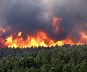 روسیه هم برای اعزام هواپیمای اطفای حریق الیت اعلام آمادگی کرد