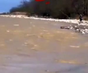 یک فروند هواپیمای تفریحی در چالوس سقوط کرد