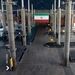 بازگشت مسافران به فرودگاه امام بعد از 56 روز 