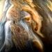 تصویری زیبا از سیاره مشتری 