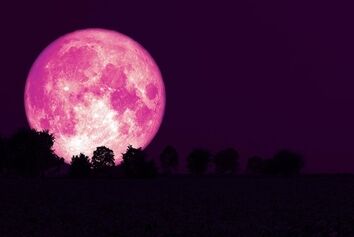 امشب ماه صورتی می‌شود
