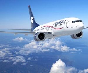 روغن پخت و پز، سوخت هواپیما می‌شود