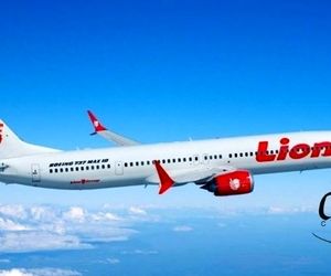 نقص در طراحی و مقررات نظارتی آمریکا، عوامل اصلی سقوط بوئینگ 737