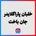 خلبان پاراگلایدر جان باخت