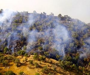 همکاری وزارت دفاع در تامین بالگرد برای اطفا حریق در مناطق صعب العبور