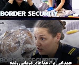 چمدانی پر از غذاهای دریایی زنده در فرودگاه استرالیا