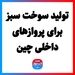 تولید سوخت سبز برای پروازهای داخلی چین