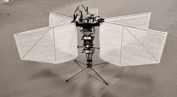 این پهپاد به مانند شب پره با نور هدایت می‌شود 