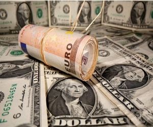 کشف ۱۷۰ هزار دلار ارز قاچاق توسط پلیس فرودگاه