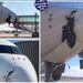 برخورد کرکس با ایرباس A350