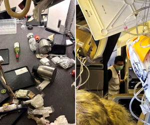 توربولانس منجر به مجروح شدن هفت نفر شد
