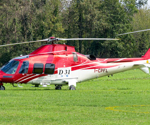 سقوط هلی‌کوپتر در ایتالیا جان وارث امپراتوری سوییس و دو نفر دیگر را گرفت +عکس

