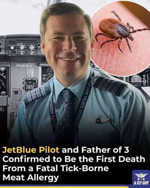 خلبان جت‌بلو اولین قربانی  آلرژی نادر کنه‌ها در جهان شد