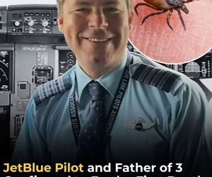 خلبان جت‌بلو اولین قربانی  آلرژی نادر کنه‌ها در جهان شد