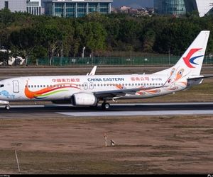 آخرین اخبار از سانحه چین 