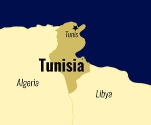 سقوط یک هواپیمای نظامی در تونس