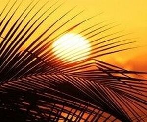چرخه فعالیت خورشید در حال تغییر است