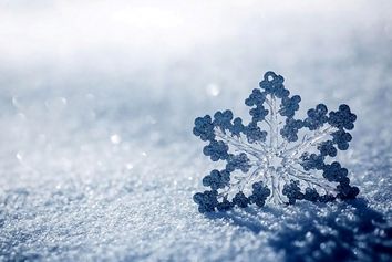 بارش سنگین برف 
در «تورنتو» کانادا و لغو صدها پرواز 
