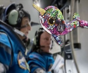 نهنگ تک‌شاخ براق به فضا می‌رود