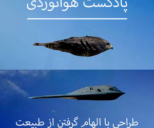 طراحی با الهام گرفتن از طبیعت 