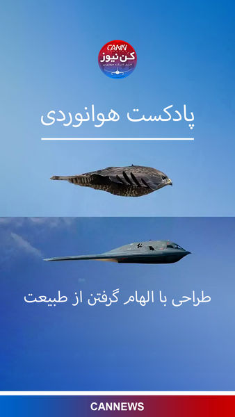 طراحی با الهام گرفتن از طبیعت 