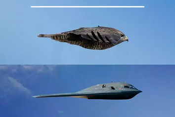 طراحی با الهام گرفتن از طبیعت 