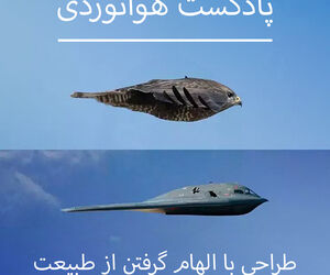 طراحی با الهام گرفتن از طبیعت 