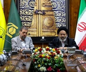 رئیس سازمان حج: خسارت تاخیر پرواز‌های عمره به زائران پرداخت شود