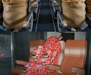 سیب‌زمینی‌ها در پرواز؛ آزمایش عجیب مهندسان بوئینگ