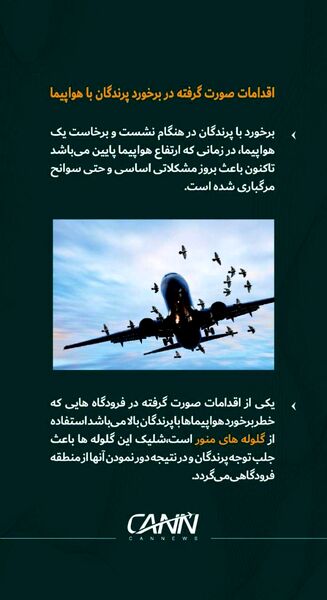 اقدامات صورت گرفته در برخورد با پرندگان 