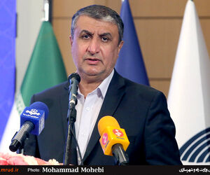 اسلامی: گزارش نهایی سقوط هواپیمای اوکراینی به‌زودی منتشر می‌شود