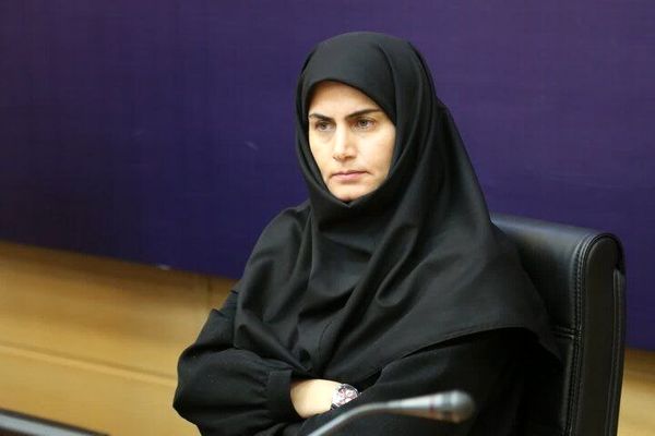 رایزنی برای برقراری پرواز در مسیرهای کیش، نجف و ترکیه