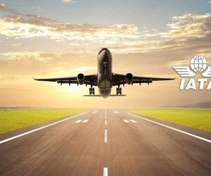 یاتا از جهش سود ایرلاین‌ها
 در سال آینده خبر داد